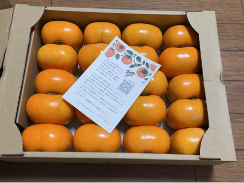 【送料500引き🍂】ジュワ！ 甘っ！ 平核無（ひらたねなし）柿🟠✨　ファミリーパック L以上15〜20個入り 11月上旬より順次発送