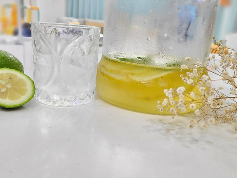 訳あり　愛媛県産　瀬戸内　栽培期間中農薬不使用　国産レモン　2kg