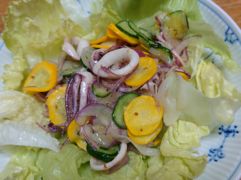 オーガニックきゅうり★たっぷり2kg