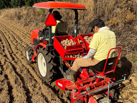 ほくほく甘い！屋久島の新じゃが〈ニシユタカ〉農家直送　5㎏