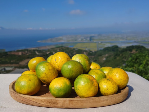 みかんとカボスセット家庭用【自然栽培】 食べやすい甘い 食べ出したら止まらない 早生みかん（3K）とカボス３Kセット