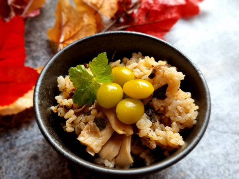 【今年度最終出荷】2024年秋＊祖父江銀杏《藤九郎》大玉３Ｌ３００g