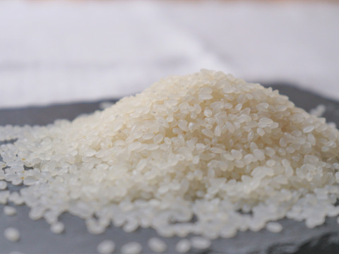 甘み・粘りが強く柔らか食感　令和5年産特別栽培米ヒノヒカリ精米　3kg
