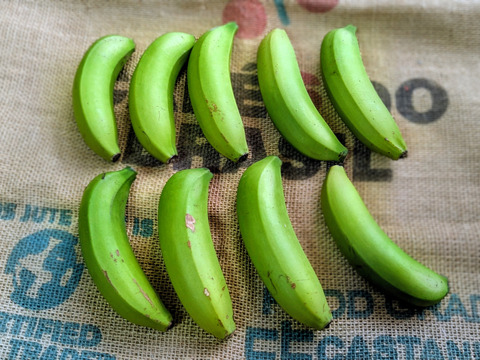 沖縄からの贈り物　台湾系島バナナ1㎏【農薬・除草剤・化学肥料不使用】