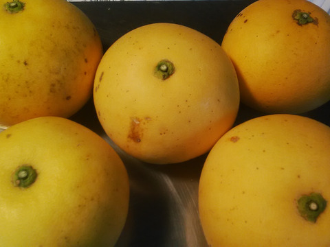 1.2級コミコミ　スウィーティー　６個から１０個入り