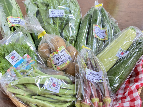【自然栽培🍀80サイズ】朝採り新鮮！旬菜セットM（３〜５人様向け）
