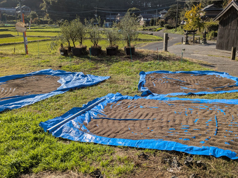 純正　焙煎えごま油（大分県国東市産）１０５ｇ×2本