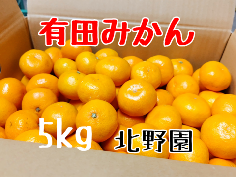 恵子のこだわりミカン 家庭用 S～Lサイズ混合 5kg