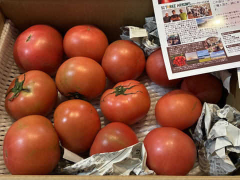 お母さんスタッフいちおし!!熊本県八代産訳ありトマト『おっぺしゃん』４kg