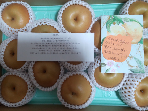 秋は南水梨で間違いナシ！！ 南水 梨 （5kg）