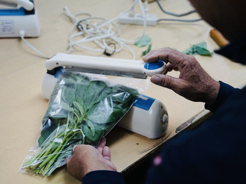 【もうすぐ収穫】丸ごと食べる！初穫れモロヘイヤ（100g×8袋）