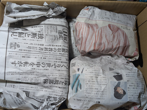 青豆、ニンニク、柿、リンゴ