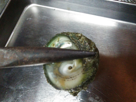 小泊産‼したんだめ1.5kgとしろけ2kgセット