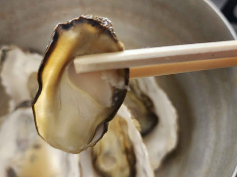 加熱用 殻付き牡蠣3kg 宮城県松島産  お歳暮 お中元 熨斗対応可 殻付き 無選別 牡蠣 カキ バーベキュー BBQ 海鮮物 漁師直送