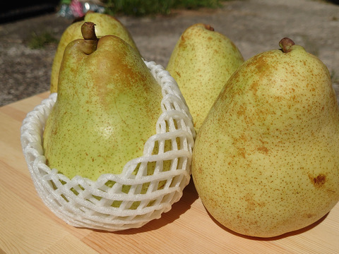 あらしぼり！トロける洋ナシジュース 720ml2本