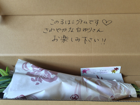 ■白５本束■年間50品種の中からその時におススメの子をお届けします！簡易包装