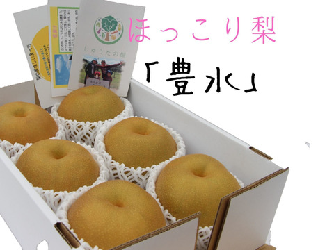 【先行予約販売!】あふれる果実味♪ 甘くて美味しい梨「豊水」