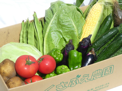 寒暖差が美味しさの秘訣！【朝どれ】高原野菜セット（６～７品目）