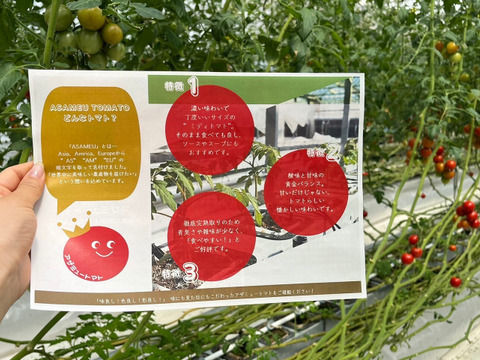 【糖度と旨味を凝縮！】👑こだわり👑アザミュートマト🍅3kg