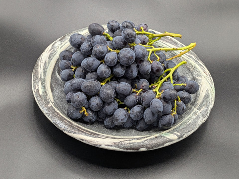 【限定約100房！新品種】黒いアルファ約1kg　規格外／お試し出荷※長野県認証/農薬節減栽培（信州の環境にやさしい農産物認証）