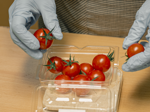 【大人気商品♫】甘さと香り抜群！フルーツトマト「ポモロッサ」（4パック＋おまけ2つ付）