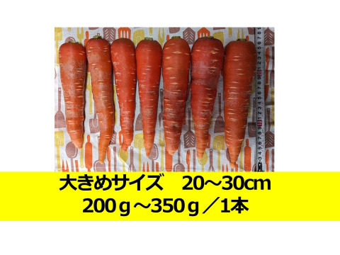 有機JAS認証 寒さで甘くなった人参「京くれない」8㎏