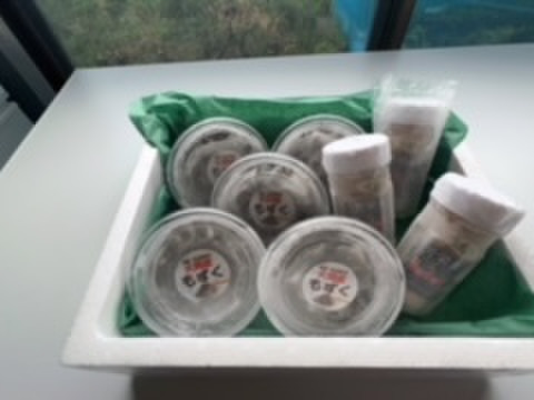 青森県大間産　もずく５P・塩うに３本セット