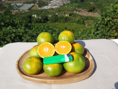 【自然栽培】  濃厚な中生みかん 昔食べたみかんの味（2.7K）