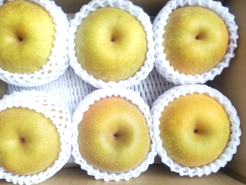 【幸水２ｋｇ】高原の「幸水」は硬さ、シャリ感、ジューシー、甘さが違う。④海藻エキス投与で、コクと旨味のある梨にグレードアップ！【秀品】先行販売3