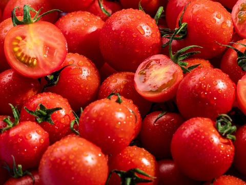 【大人気ギフト♪】極甘高糖度フルーツトマト「ポモロッサ」（15粒入り）