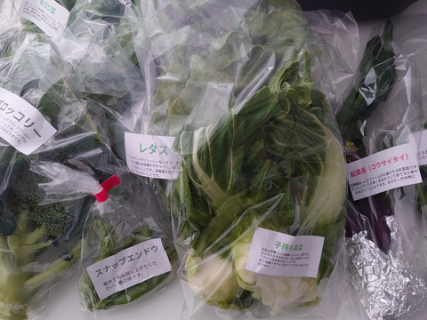 【淡路島より旬をお届け】お任せ野菜セットSサイズ