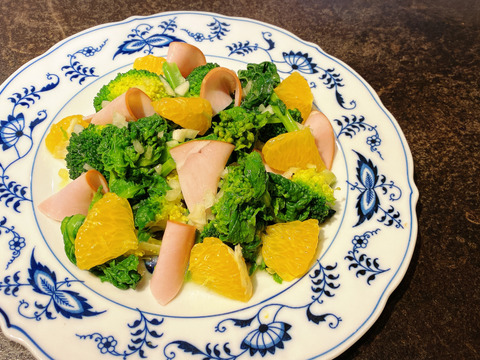 （紅）大三島の木成り紅八朔⭐︎瑞々しい大粒の実♪（ご家庭用・5キロ）