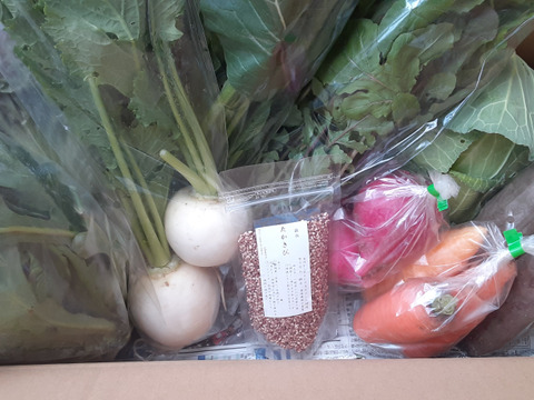 有機JASから伝統野菜、自然栽培まで、北信州で今採れる野菜セット9~10品目
