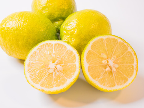 【天皇杯受賞農家】高知県大月町産・農家直送 こじゃんとレモン 5kg（化学肥料/防腐剤/ワックス不使用）