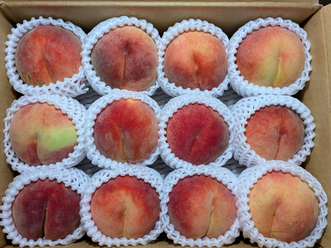 桃川中島白桃家庭用3kg