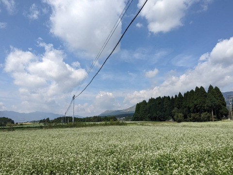 ナッツの香り！天日干し自然栽培『蕎麦粉』南阿蘇村在来種（500g）