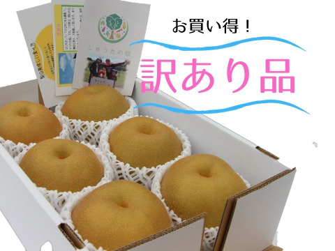 【お買い得!】食べたら気分がホッコリ♪なる梨「味は変わらないキズあり品」