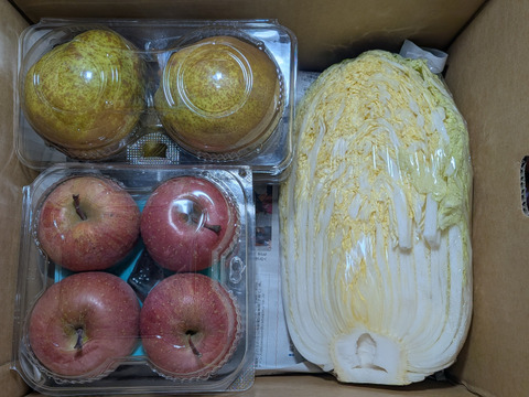 ハクサイ、ダイコン、柿、リンゴ、ラ・フランス