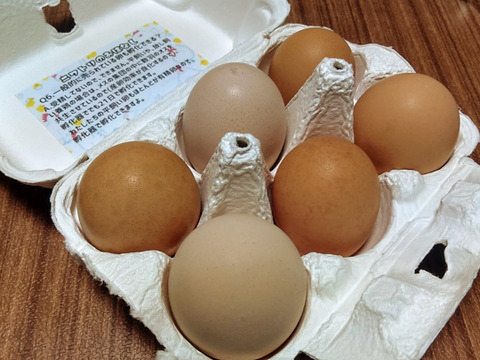 比内地鶏の屋外平飼い卵14ヶ+6ケ(割れ補償)
【小分け対応可】