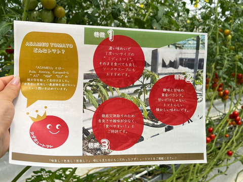 【糖度と旨味を凝縮！】👑こだわり👑アザミュートマト🍅0.8㎏