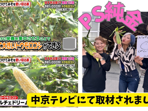 【6月下旬発送】あなたはどっち派⁉️味来vsドルチェドリーム楽しい食べ比べセット 12本入