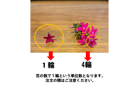 《常温配送》【岐阜産】可愛さ満点♪彩り豊か♪エディブルフラワー（食用）MIX10輪　 年中収穫可能