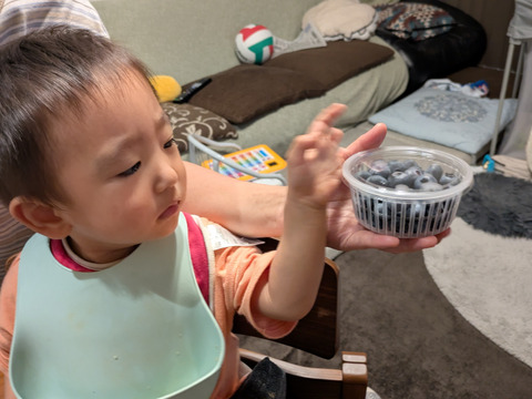 ほおばって！ブルーベリーMIX（500g・品種&サイズ混合）