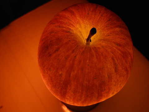 長野県認証栽培のサンふじ5ｋｇ