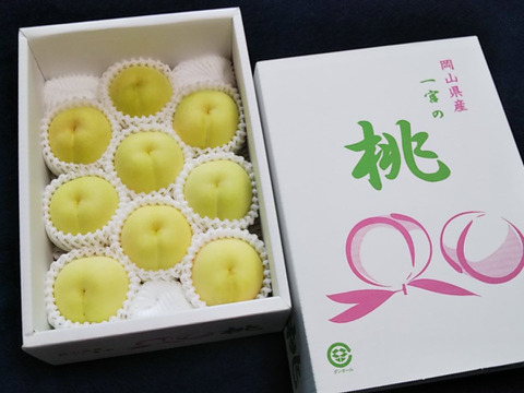 冬に食べられる超希少桃！【冬桃がたり】（家庭用・約1.6kg）