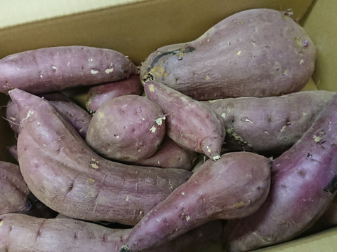 訳あり！熟成紅はるか 5kg さつまいも：茨城県産のべにはるか