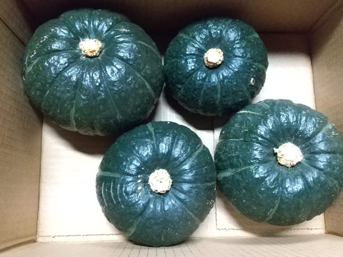 レンジで温めるだけ！ホクホクと甘い坊っちゃんかぼちゃ(２㎏)