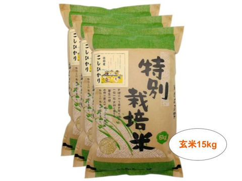 【玄米15kg】残留農薬ゼロ!情熱の結晶!つぶ感が人気の信州産こしひかり(5kg×3袋) 令和2年産