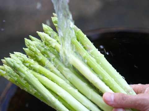 【サイズミックス500g】生でも食べれる湧水で育てたアスパラガス 佐賀県伊万里産