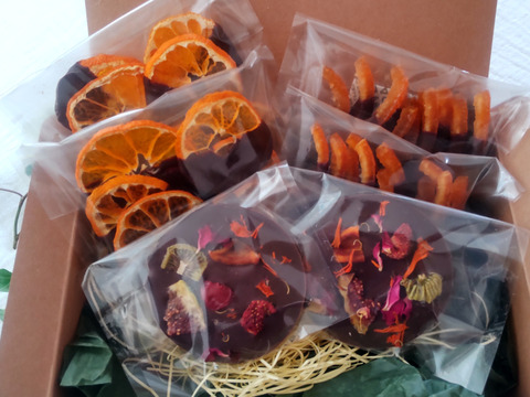 【想いを贈るチョコレート】オーガニックショコラギフトBOX